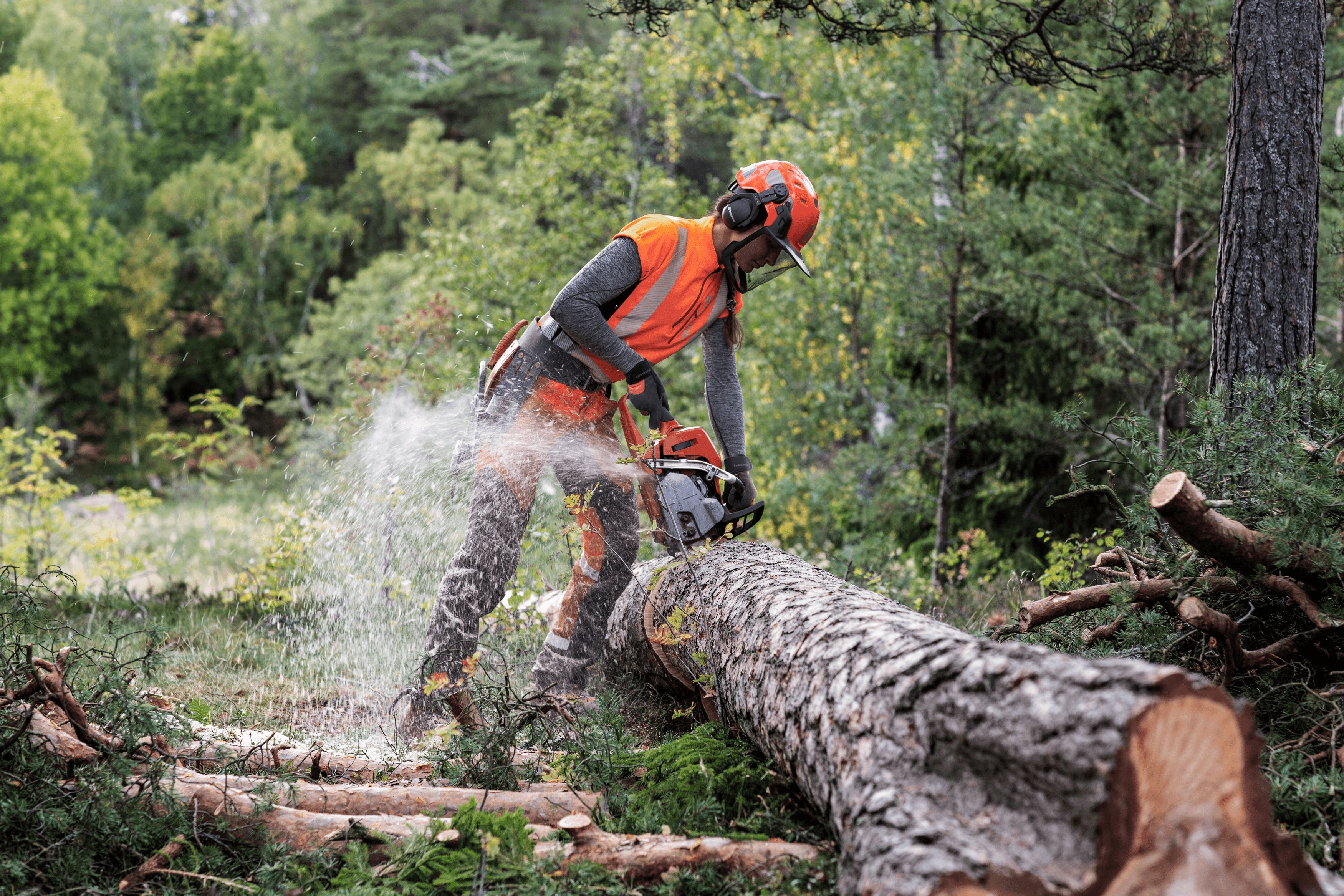 Man shaping with Aspire Shrub Shear